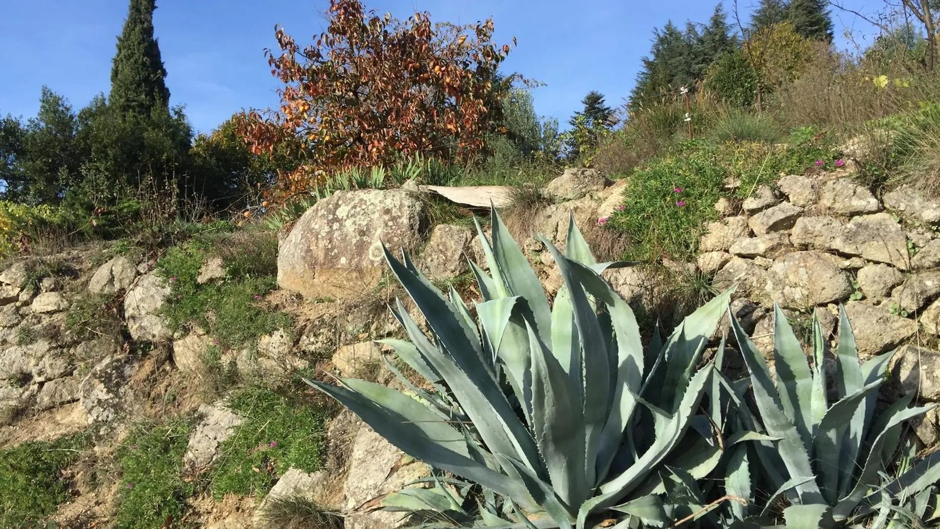Holiday home Maisonnette Dans Les Alpilles Classee 3 Etoiles Tourisme Maussane-les-Alpilles
